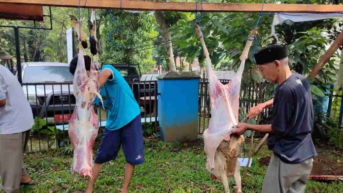 Idul Adha 2024, PWI Kota Bogor Sembelih 2 Ekor Kambing