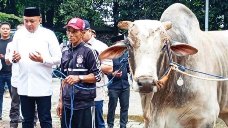 Ketua DPRD Kabupaten Bogor Rudy Susmanto Salurkan 48 Sapi Kurban dari Presiden Terpilih Prabowo Subianto