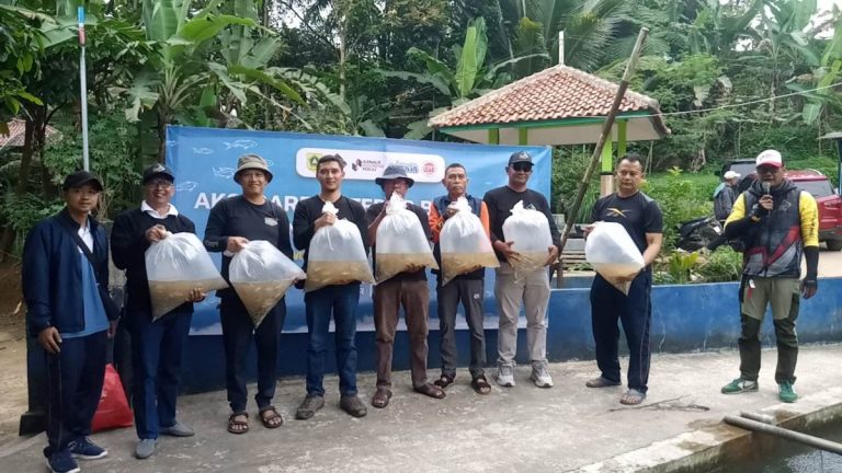 Pemkab Bogor-JFI Aksi Bareng, Lepas Liarkan Ribuan Ekor Benih Ikan di Sungai Pamijahan