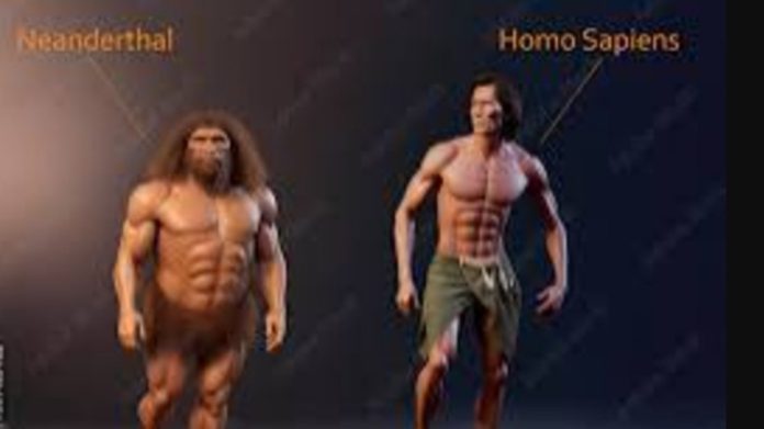 Perbedaan Neanderthal dan Homo Sapiens Menurut Penelitian Ilmuwan