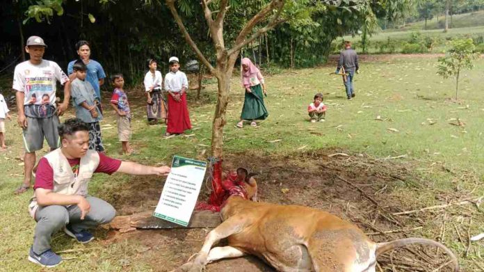 Yayasan Al Azhar Care Indonesia Gelar Qurban dan Akikah di Desa Galuga, Cibungbulang Bogor