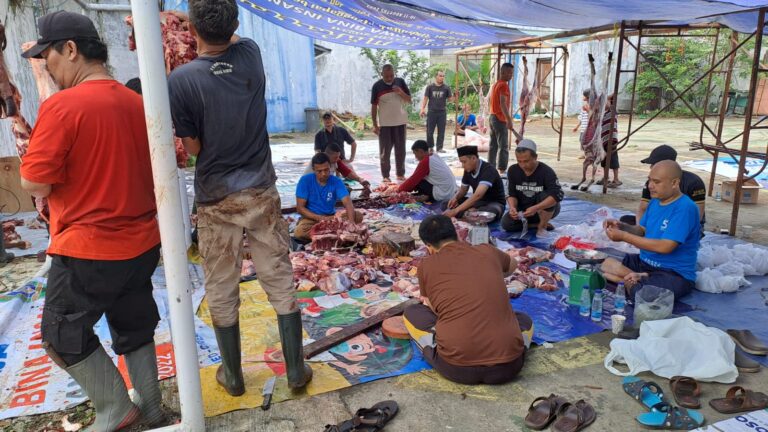 Bosowa School Gelar Pemotongan dan Penyaluran Hewan Qurban di Tiga Kota