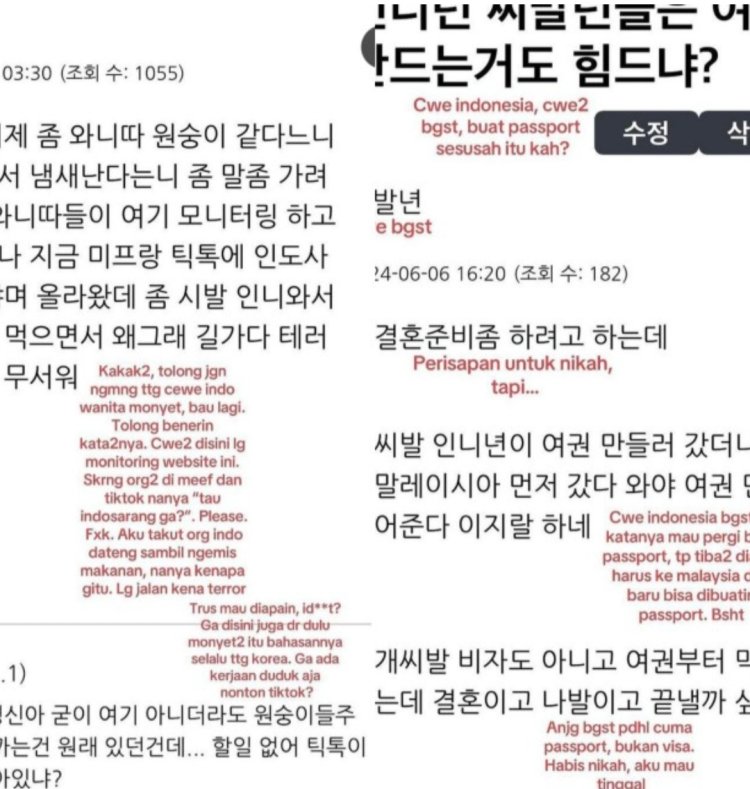 Viral Rasisme Warga Korea Selatan di Forum Online Indosarang