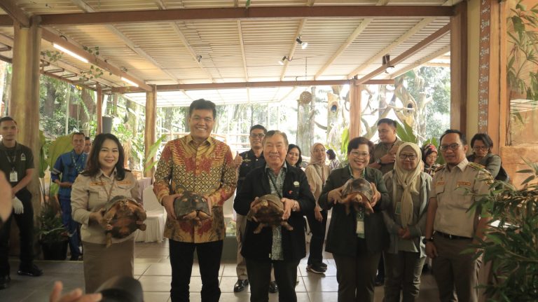 Langka di Dunia! Taman Safari Bogor Terima 4 Kura-kura Madagaskar Sitaan Badan Karantina Indonesia