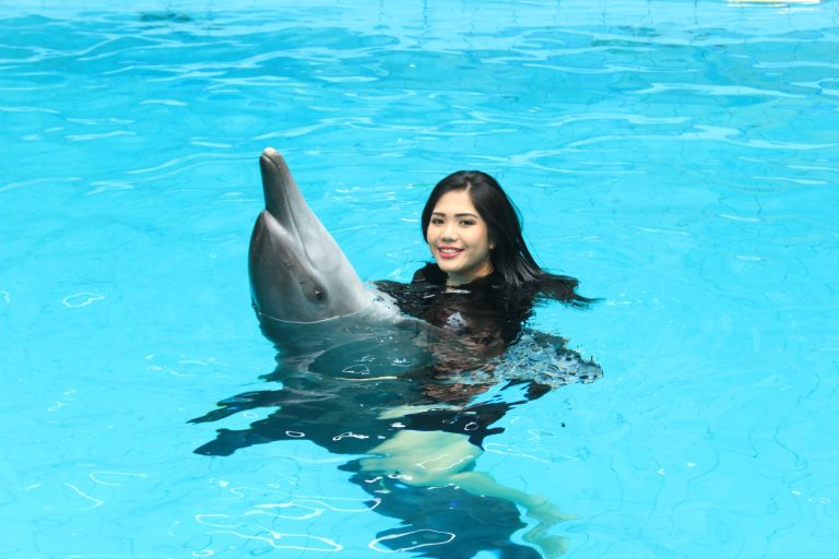 Semarak Happy World Dolphin Day 2024 di Taman Safari Bogor