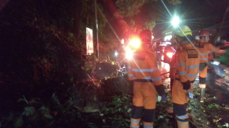 Akibat Hujan Deras dan Angin Kencang , Pohon Tumbang Tutupi Akses Jalan di Cilebut Bogor