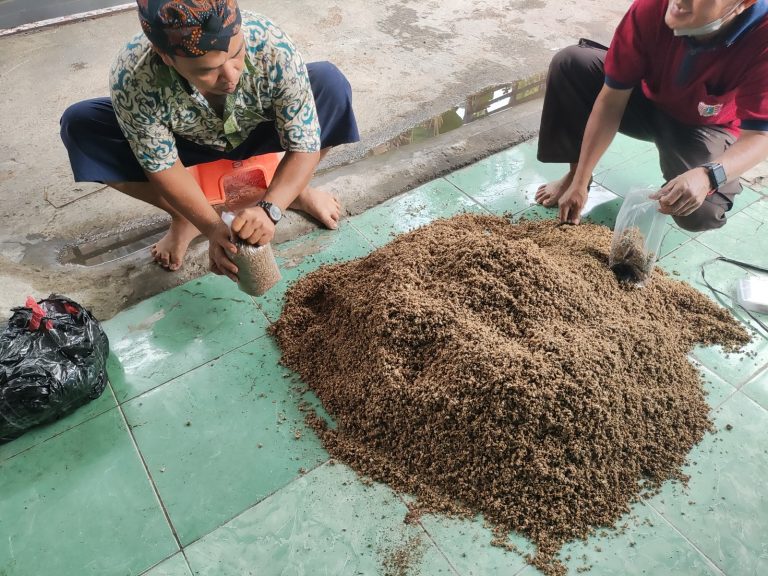 Dosen dan Mahasiswa Universitas Pelita Harapan Bantu Tingkatkan Produksi Petani Jamur Tiram di Tangerang