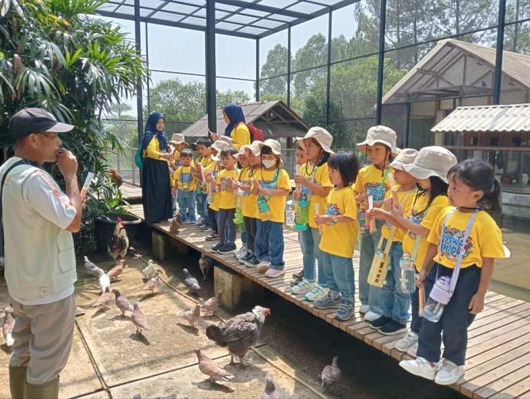 Fieldtrip ke Kuntum Farm Field, Siswa KB dan TK Bosowa Bina Insani Belajar Mengenali Hewan Peliharaan