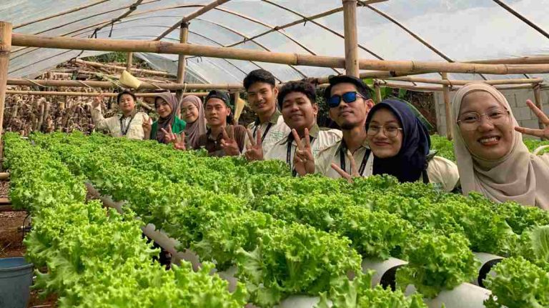 Mahasiswa IUQI Bantu Pertanian Hidroponik di Desa Benteng