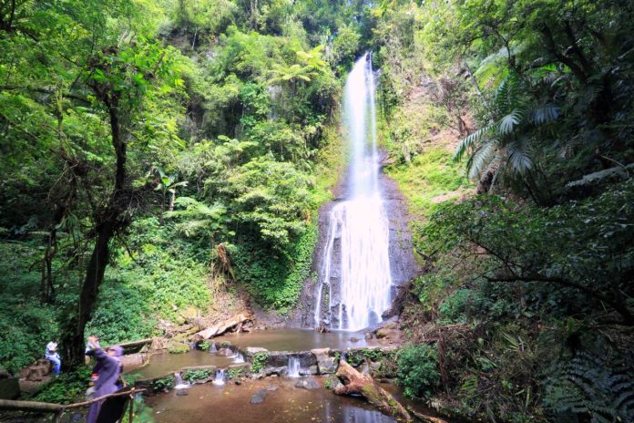 udara Taman Safari Bogor