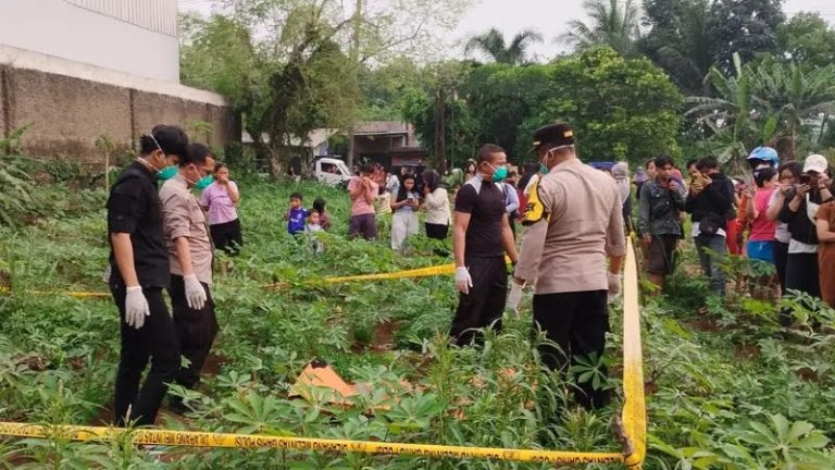 Geger Mayat Wanita Tanpa Identitas Ditemukan di Kebun Singkong Rancabungur, Begini Kondisinya