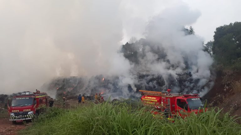 Kebakaran Lahan di Bogor, 10 Ribu Meter Limbah Tanaman Milik Warga Hangus Terbakar di Rumpin