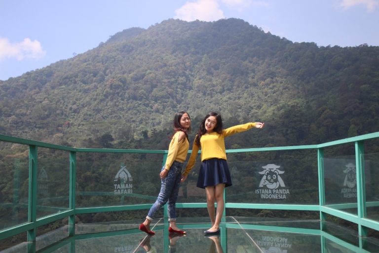 Musim Penghujan Tiba, Yuk! Nikmati Sensasi Kabut Gunung Gede Pangrango di Istana Panda Taman Safari Bogor