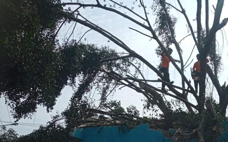 Hujan Deras dan Angin Kencang Rusak 7 Rumah di Bogor, BPBD Lakukan Evakuasi