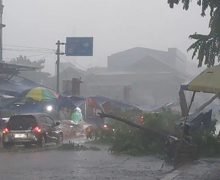 Bogor Dikepung Cuaca Ekstrem, Banjir di Perumahan dan Pohon Tumbang Tutup Jalan!