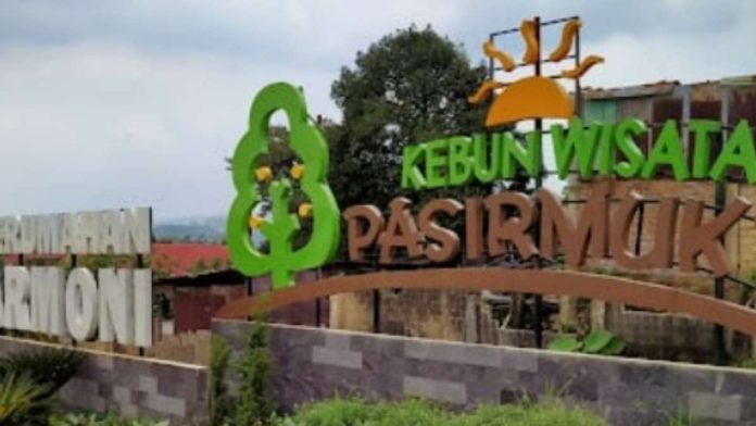 Pesona Tersembunyi di Citeureup Bogor, 3 Destinasi Tempat Wisata yang Wajib Dikunjungi