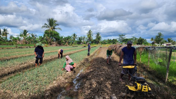 Merauke