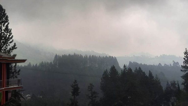 Pergi Tanpa Ekspektasi, Pulang dengan Kenangan Manis dari Tegal