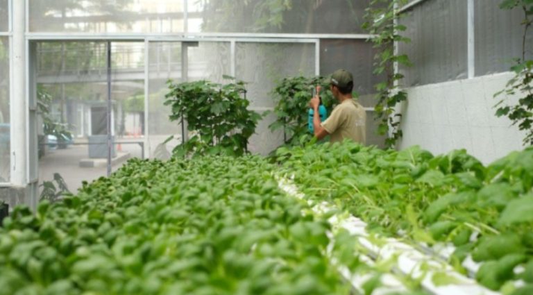 The Alana Sentul Hotel Tingkatkan Komitmen pada Sustainability