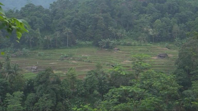Dari Alam Nan Subur, Menembus Malam yang Kabur, Hingga Ilmu yang Tak Luntur