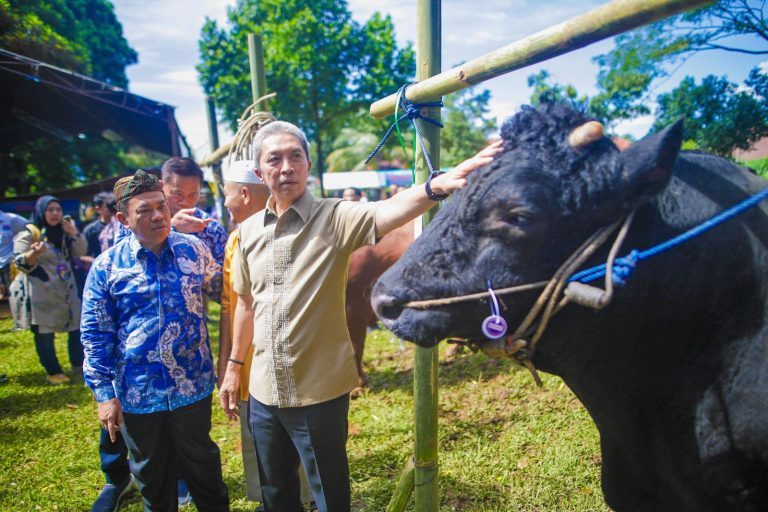 Bursa Hewan Qurban 2025 Resmi Dibuka, Dedie Rachim: Kesehatan Ternaknya Terjamin