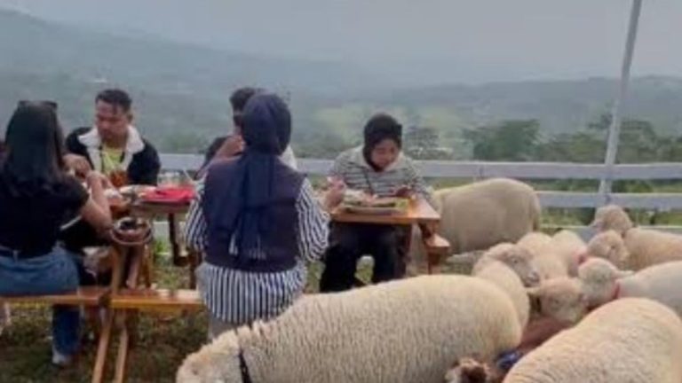 Kafe Binatang Sentul, Tempat Wisata Keluarga Ramah Anak Dekat Jakarta