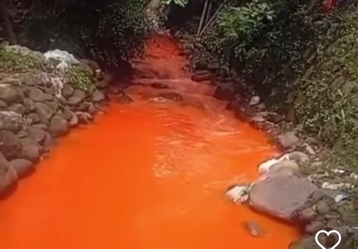 Diduga Tercemar Limbah Industri, Sungai di Citeureup Berwarna Oranye, Warga Lapor ke Dedi Mulyadi