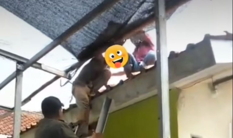 ODGJ gunung sindur