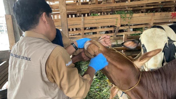 Pemkab Bogor Siagakan Tim Pengamanan Hewan Qurban dan Posko Pemeriksaan