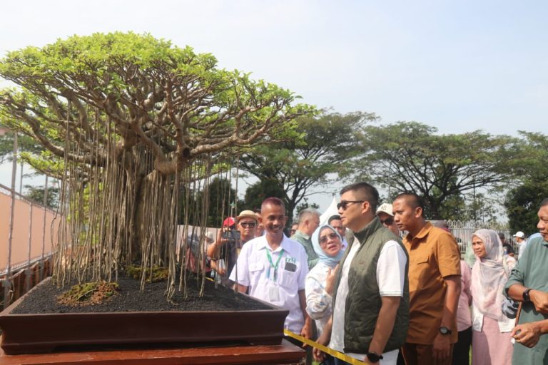 Perdana Kabupaten Bogor Jadi Tuan Rumah Kontes Bonsai Nasional, Momen Istimewa HJB ke-543