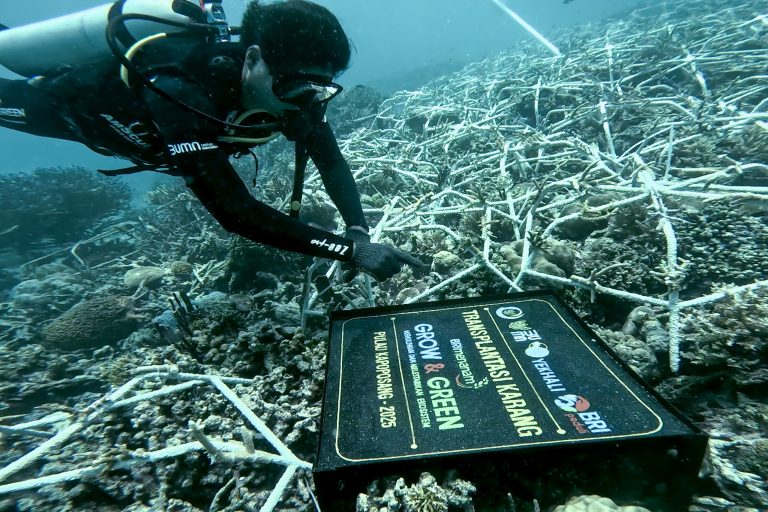 Peringati Hari Lingkungan Hidup Sedunia, BRI Pertegas Komitmen dalam Menjaga Ekosistem Lingkungan melalui BRI Menanam – Grow & Green