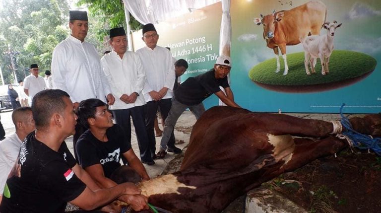 Pendistribusian Hewan Kurban BSI Capai 15.272 Ekor di Idul Adha 1446 Hijriah
