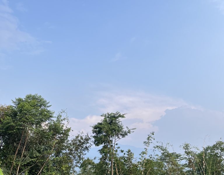 Ramalan Cuaca Bogor 8 Juni 2025