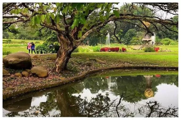 Menelusuri Hijau dan Sejuknya Pagi di Bogor