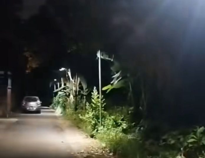 Lampu Jalan Kedip-Kedip