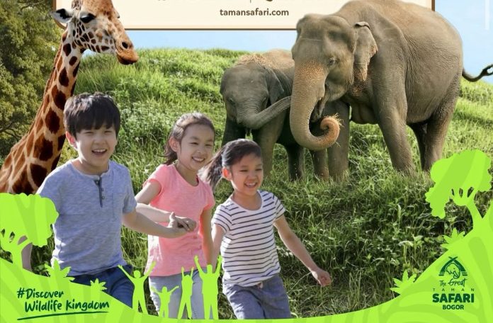 Promo Taman Safari