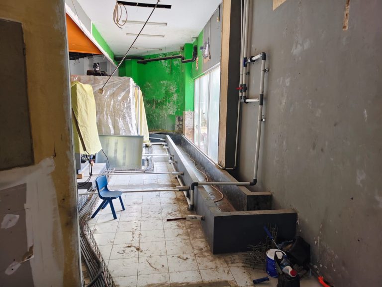 Usaha Laundry Tak Berizin di BNR Tuai Polemik, Pemkot Bogor Jadwalkan Inspeksi Lapangan