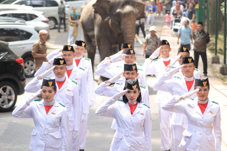 Semangat Kemerdekaan di Taman Safari Bogor: Nikmati Parade Satwa dan Promo Agustus Seru!