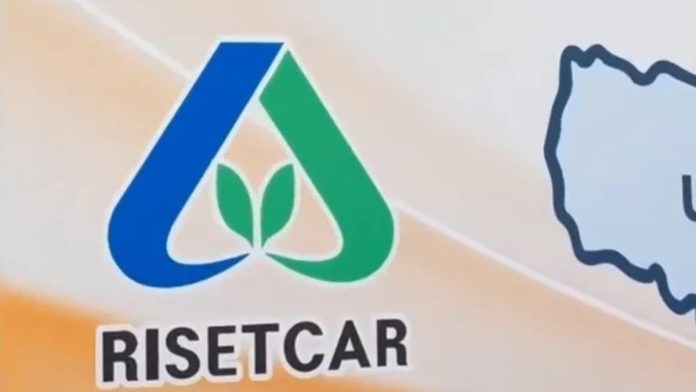 Riset Car Apakah Aman dan Legal? Ini Bisnis Sebenarnya dan Risiko yang Mengintai