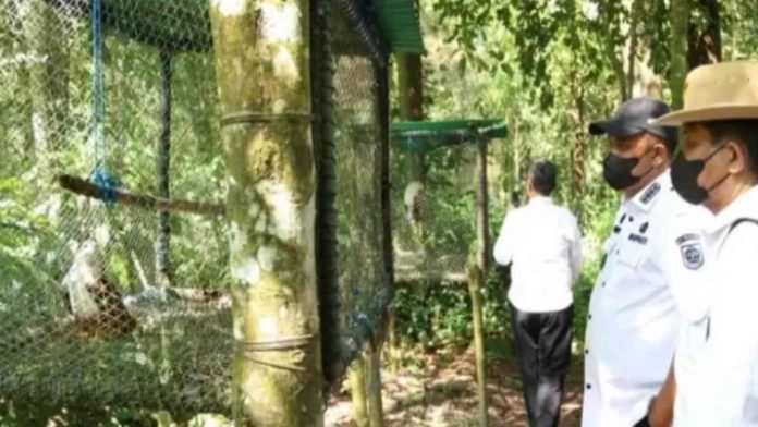Komitmen Jaga Kelestariannya, Bupati Bogor Rudy Susmanto Kunjungi Pusat Suaka Satwa Elang Jawa di Cigombong