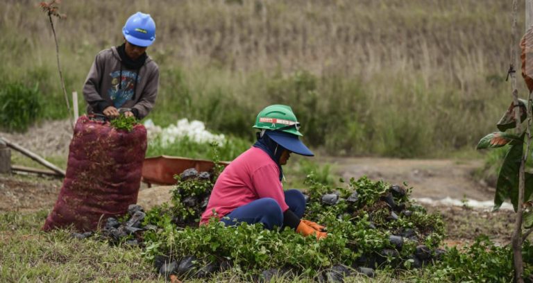 Secarik Cerita Pilu Petani Lemah Neundeut, Anaknya Terancam Putus Sekolah, Ini Musababnya