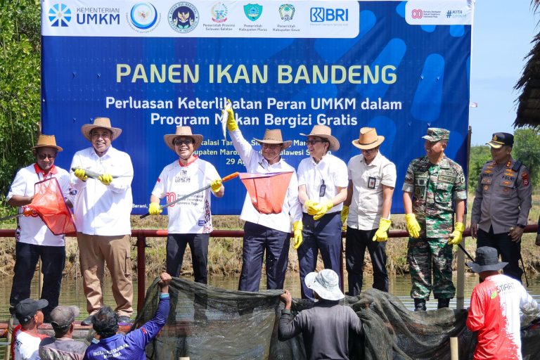 Kementerian UMKM Perkuat Sektor Perikanan dalam Ekosistem MBG