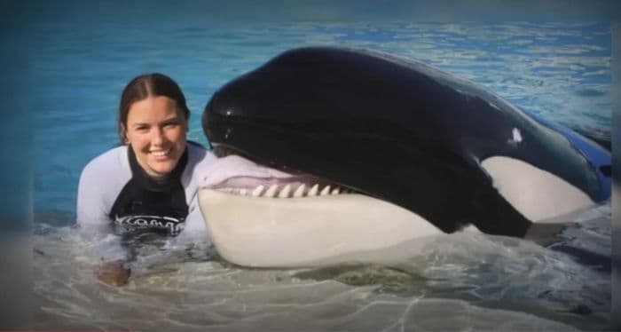 Benarkah Jessica Radcliffe Pelatih Lumba-Lumba Ditelan Paus Orca? Ini Penjelasan Faktanya