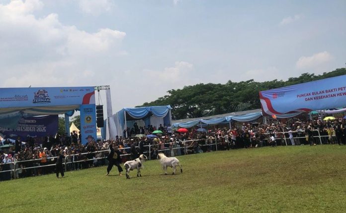 Dipadati Ribuan Masyarakat, Pemkab Bogor Gelar Peringatan Hari Peternakan Dan Kesehatan Hewan ke-189 di Pakansari