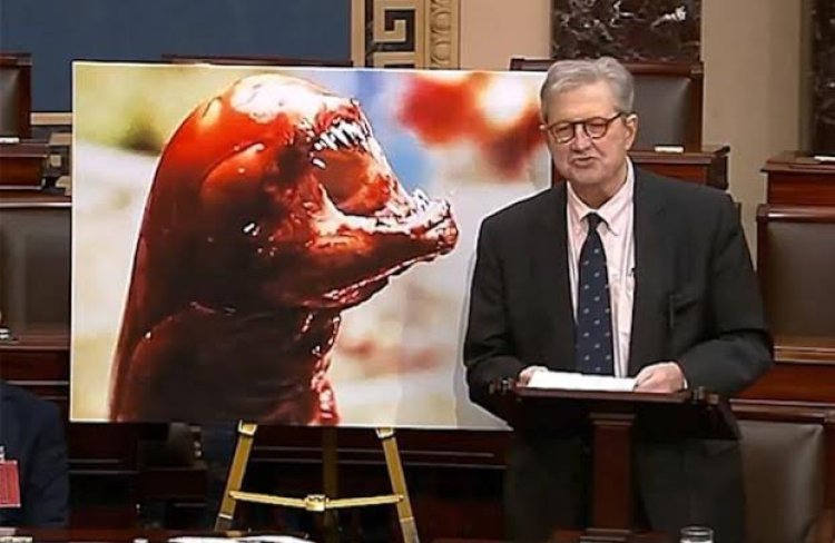 Senator AS John Kennedy Sebut Udang Impor Indonesia, Bisa Timbulkan Risiko Kesehatan Serius
