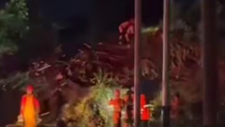 Pohon Beringin Tumbang Tutup Jalan Kapten Muslihat, Longsor Bondongan Rendam Rumah Warga