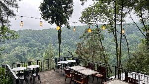 Destinasi Ngopi Hits di Pancawati Bogor: Daong Hutan Pinus, Tempat Ngopi Sambil Healing di Tengah Alam