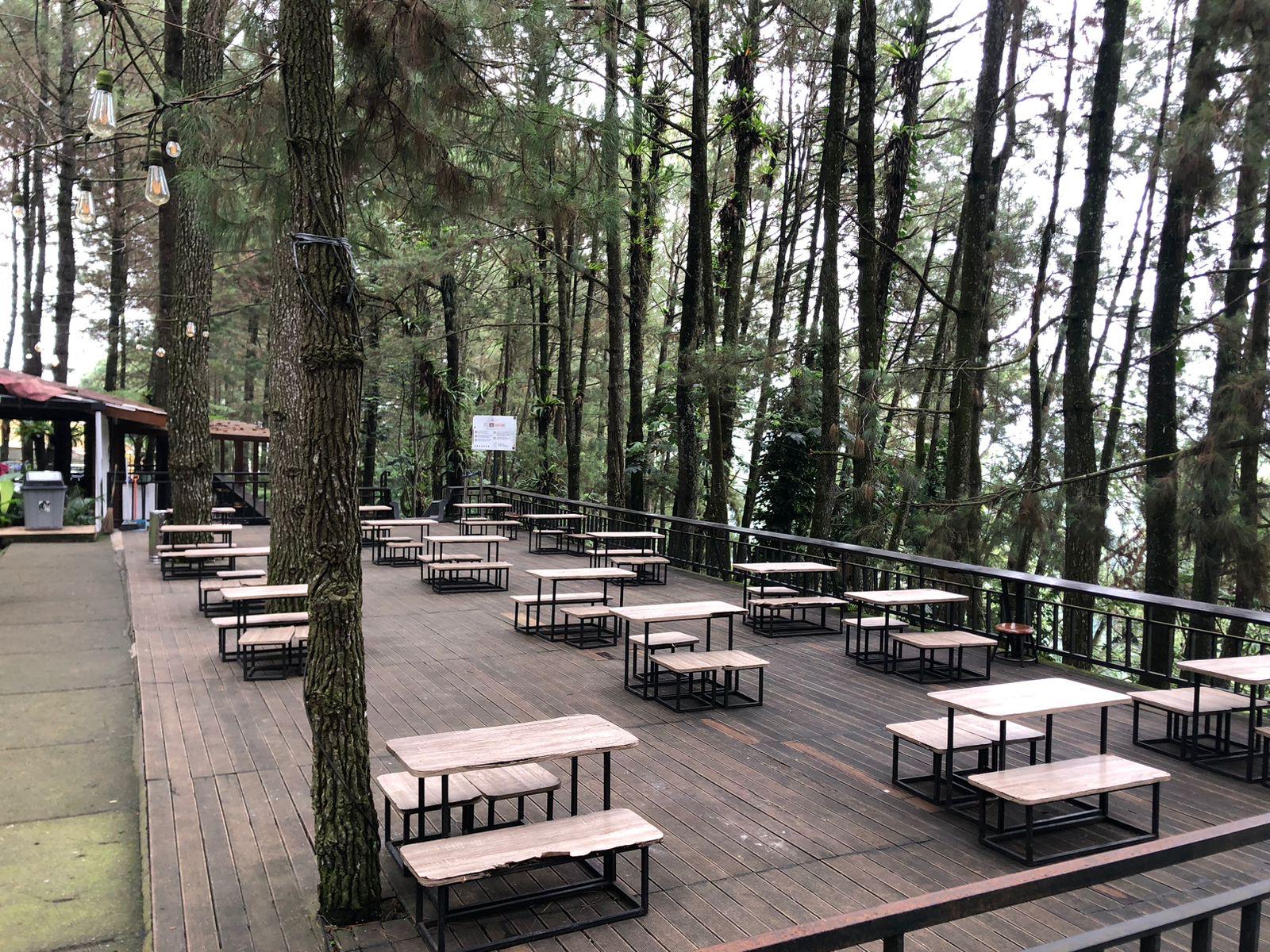 Destinasi Ngopi Hits di Pancawati Bogor: Daong Hutan Pinus, Tempat Ngopi Sambil Healing di Tengah Alam