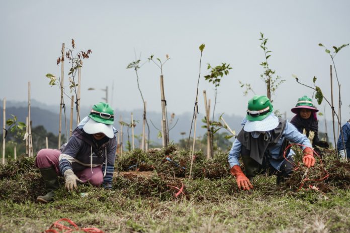 Langkah Nyata Investasi Hijau EIGER Adventure Land: Transformasi Konflik Agraria menjadi Ekowisata Bermakna