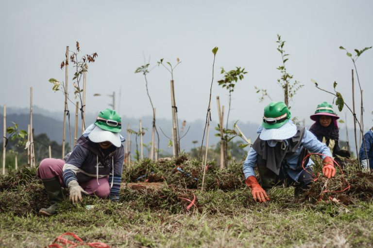 Langkah Nyata Investasi Hijau EIGER Adventure Land: Transformasi Konflik Agraria menjadi Ekowisata Bermakna